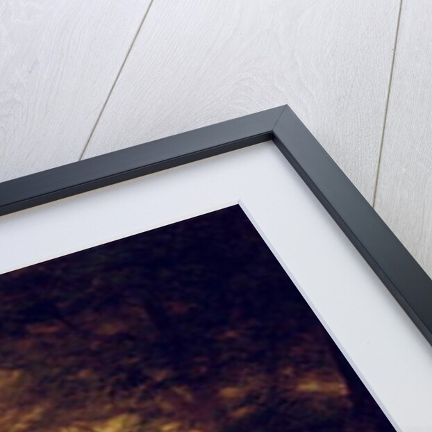 Golden Light of California by Albert Bierstadt