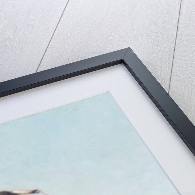 Comanche Brave, Fort Reno, Indian Territory by Frederic Remington