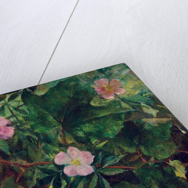 Wild Rose and Grape Vine, Study From Nature, 1871 by John La Farge or Lafarge