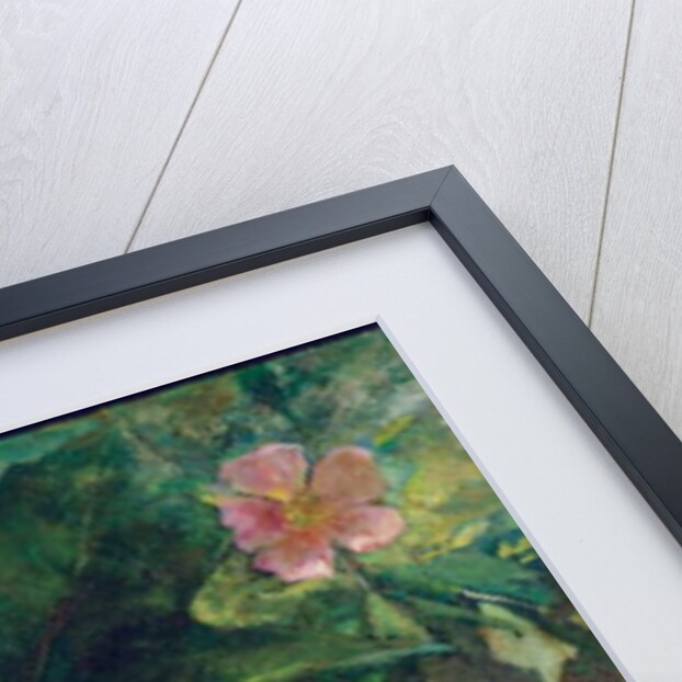 Wild Rose and Grape Vine, Study From Nature, 1871 by John La Farge or Lafarge