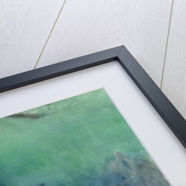 A Sailor's Delight by Charles Henry Tenre