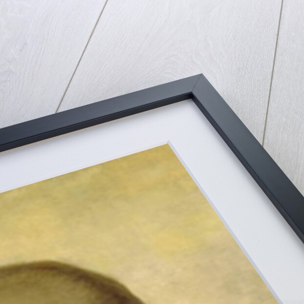 Sketch for a Portrait of George Washington by Rembrandt Peale