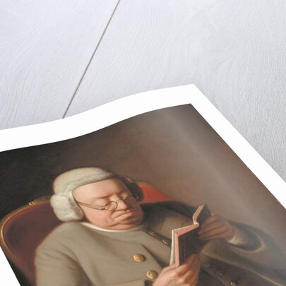 Portrait of Isaac Brodeau Reading a Book, 18th century by George Roth