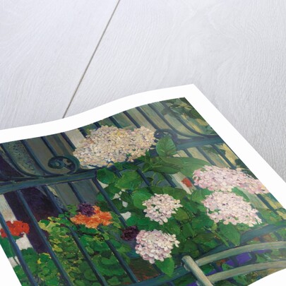 Geranium; Geranien by Koloman Moser