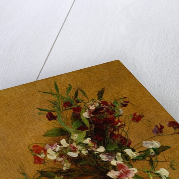 Sweet Peas; Pois de Senteur, 1888 by Ignace Henri Jean Fantin-Latour