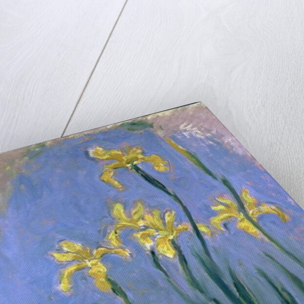 Yellow Irises; Les Iris Jaunes, c.1918-1925 by Claude Monet