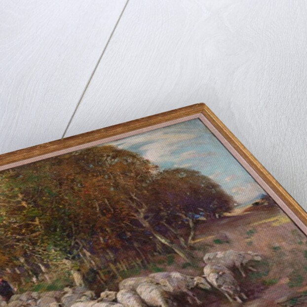 Driving the Flock by George Smith