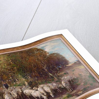 Driving the Flock by George Smith