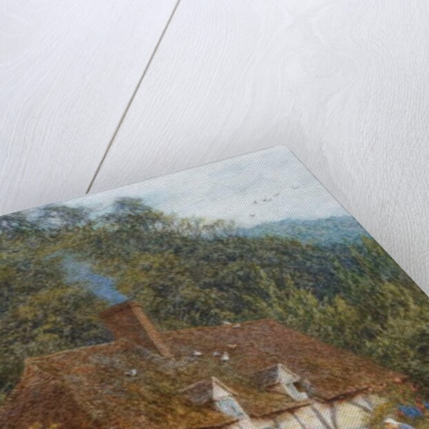 A Cottage near Witley, Surrey by Helen Allingham