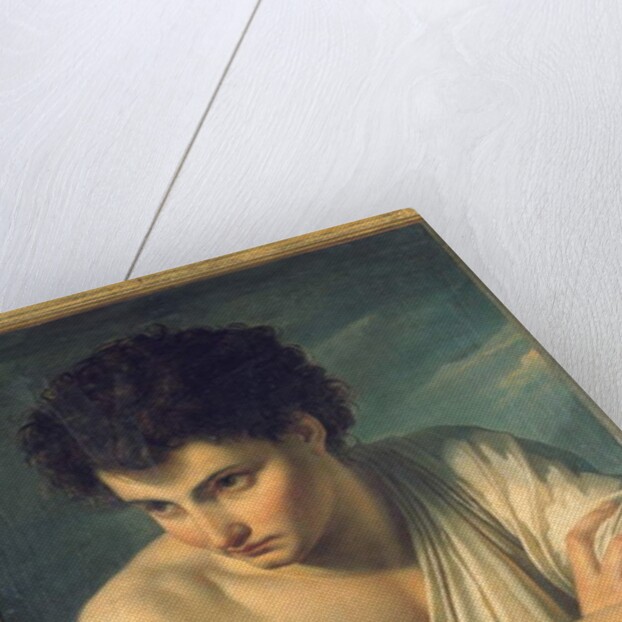 A Young Man Dressed as an Arcadian Shepherd by Francois Xavier Fabre