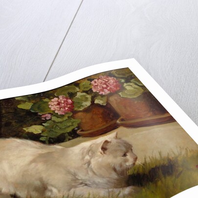 A White Persian Cat with a Ladybird by Arthur Heyer