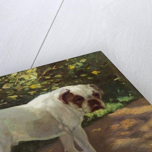 A Bulldog on a Garden Path by Arthur Heyer