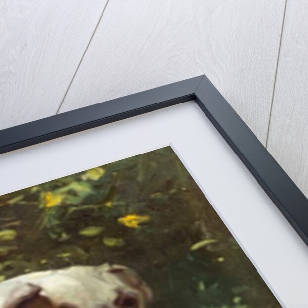 A Bulldog on a Garden Path by Arthur Heyer