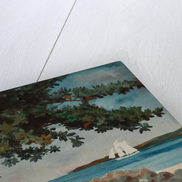 Nassau: Water and Sailboat, 1899 by Winslow Homer