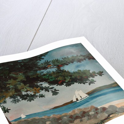 Nassau: Water and Sailboat, 1899 by Winslow Homer