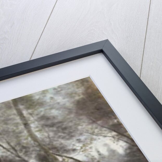 Ville d'Avray: The Lake Seen Through Foliage, 1865-1870 by Jean Baptiste Camille Corot