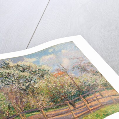 Pear Trees in Bloom, Eragny; Poiriers en fleur, Eragny, 1894 by Camille Pissarro
