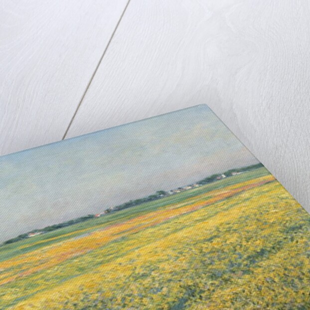 The Plain of Gennevilliers, Yellow Fields; La plaine de Gennevilliers, champs jaunes, 1884 by Gustave Caillebotte