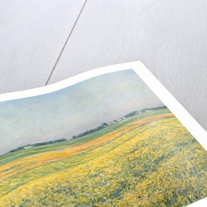 The Plain of Gennevilliers, Yellow Fields; La plaine de Gennevilliers, champs jaunes, 1884 by Gustave Caillebotte