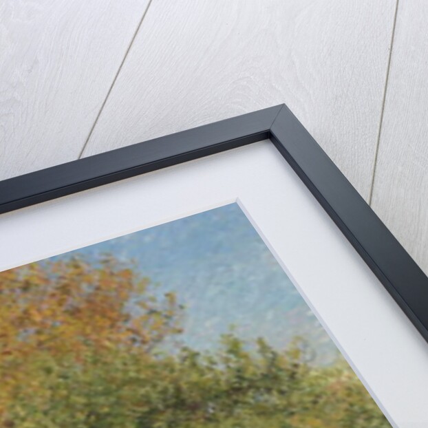 The Great Walnut Tree, Morning, Eragny by Camille Pissarro