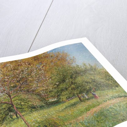 The Great Walnut Tree, Morning, Eragny by Camille Pissarro