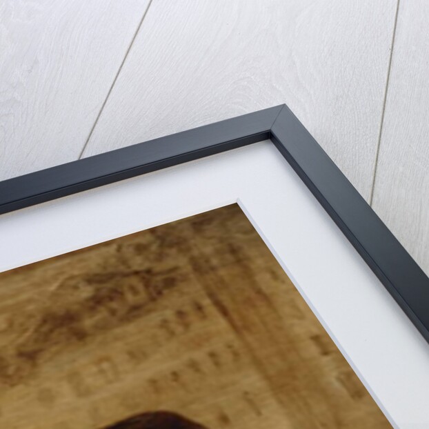 The Burden; Le Fardeau, c.1855-1856 by Honore Daumier