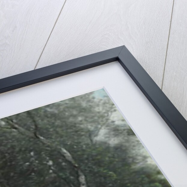 Ville-d'Avray, the Pond with a Leaning Tree; Ville-d'Avray, l'etang a l'arbre penche, 1865-1870 by Jean Baptiste Camille Corot