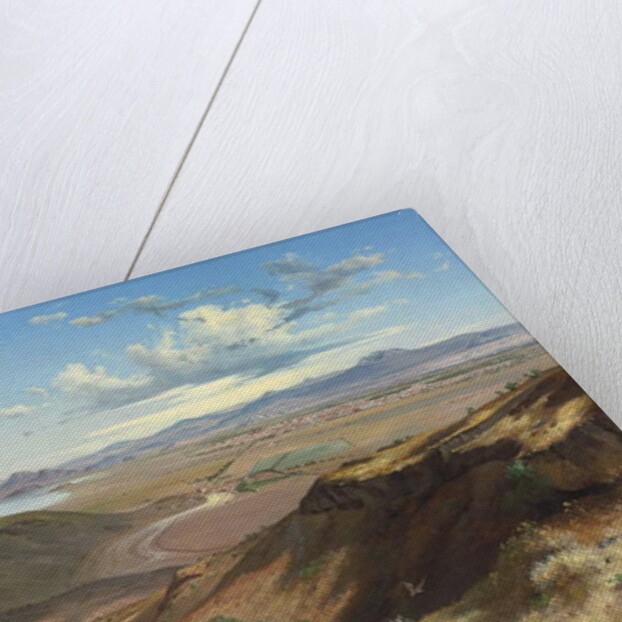 Valley of Mexico from the Hill of Saint Isabel, 1892 by Jose Maria Velasco