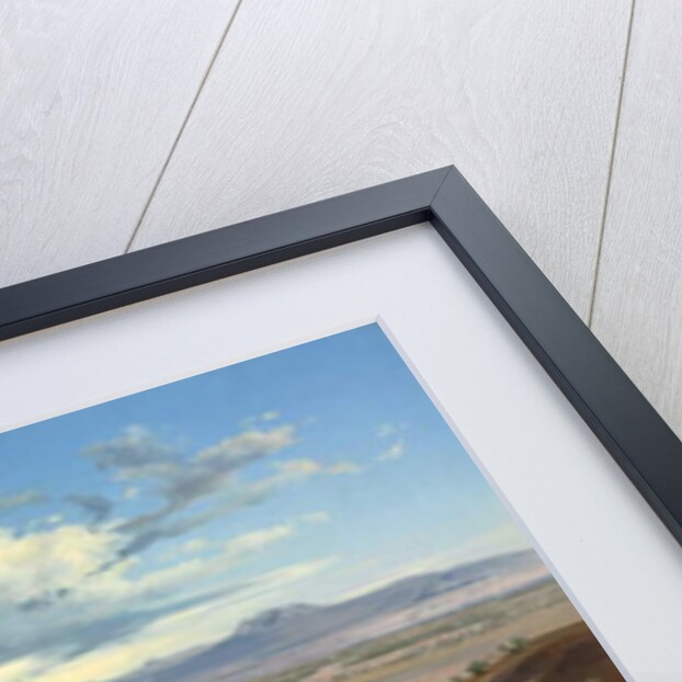Valley of Mexico from the Hill of Saint Isabel, 1892 by Jose Maria Velasco