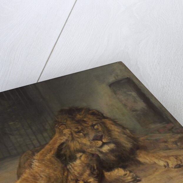 Unwanted Affection by Paul Friedrich Meyerheim