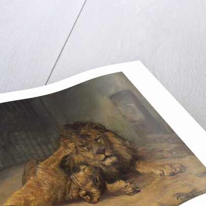 Unwanted Affection by Paul Friedrich Meyerheim