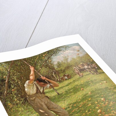 Shaking Down Cider Apples by Henry Herbert La Thangue