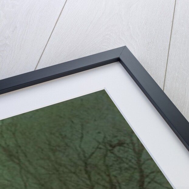 Lovers in a Wood by Moonlight, 1873 by John Atkinson Grimshaw