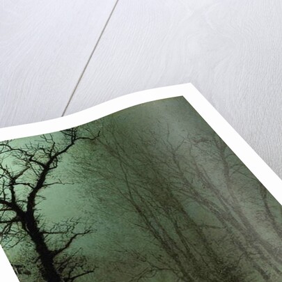 Lovers in a Wood by Moonlight, 1873 by John Atkinson Grimshaw