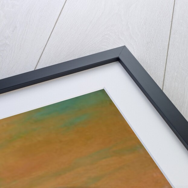 The Pasha's pride by Alfred Dedreux