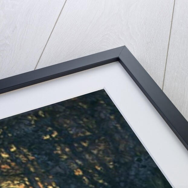 Unaccepted by James Jacques Joseph Tissot