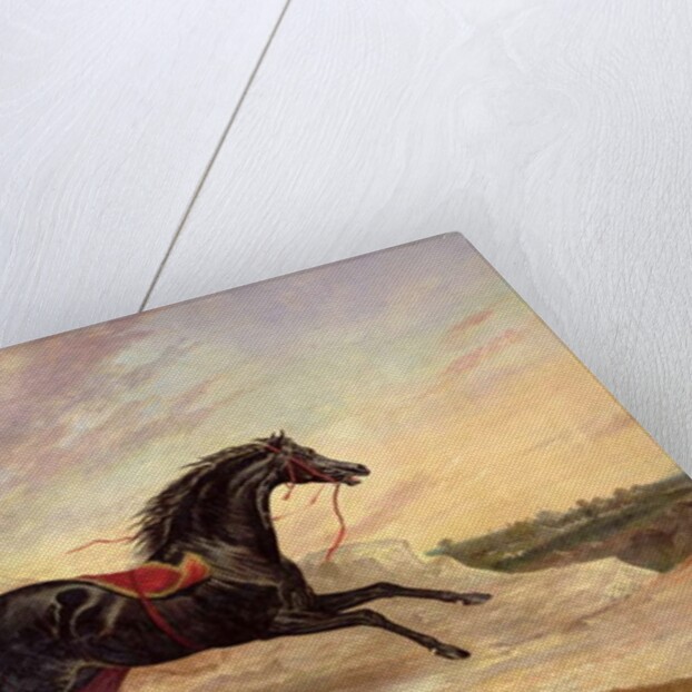 Arabs chasing a loose arab horse in an eastern landscape by John Frederick Herring Snr