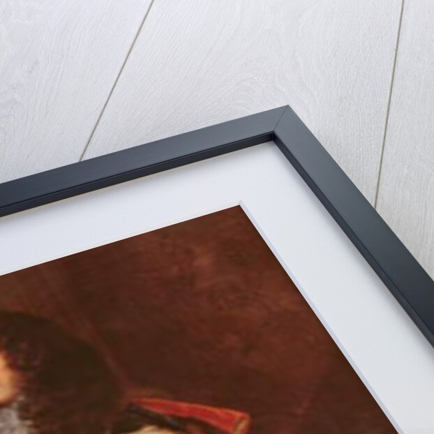 Portrait of Prince Rupert in Garter Robes by Peter Lely