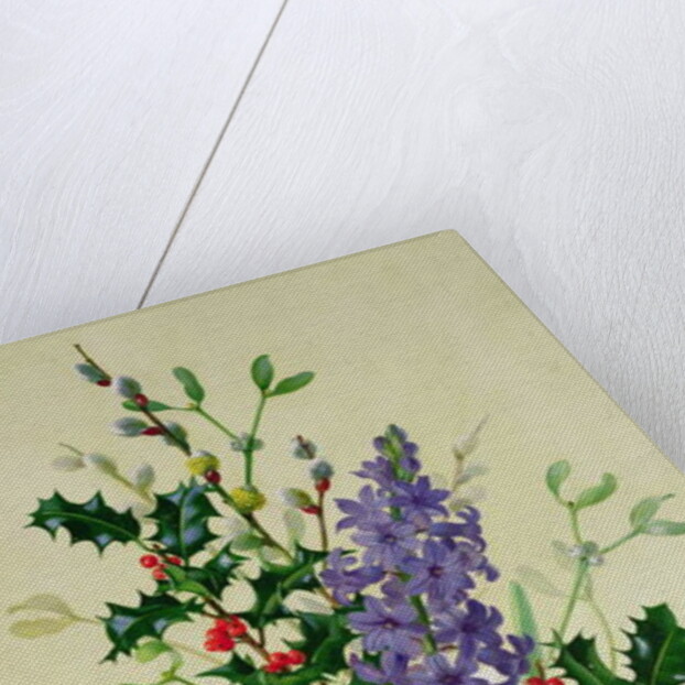 Spray of Dogrose, Holly, Mistletoe and Larkspur by Albert Williams