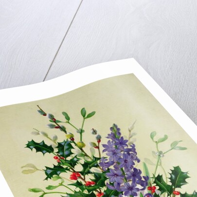 Spray of Dogrose, Holly, Mistletoe and Larkspur by Albert Williams