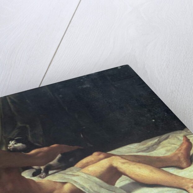 Young Man Lying on a Bed with a Cat, 1620 by Giovanni Lanfranco