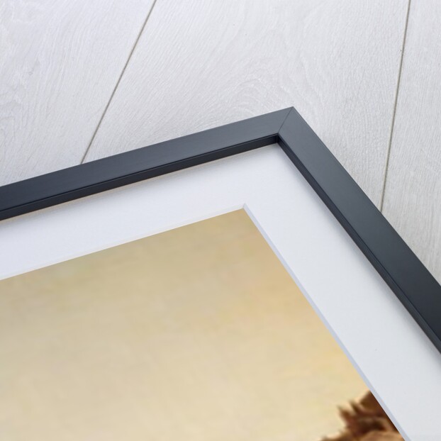 The Bridge at Delle Navi, Verona by Bernardo Bellotto