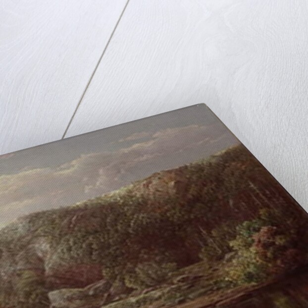 On the Shenandoah, c.1860 by William Sonntag