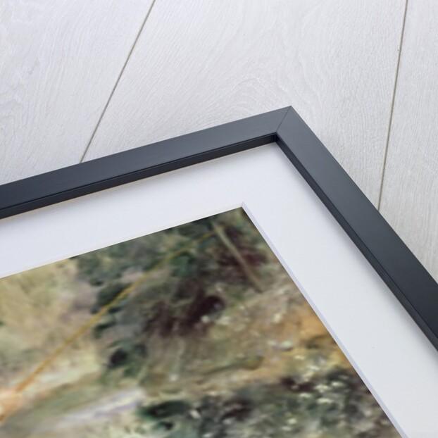 The Fisherman, 1874 by Pierre Auguste Renoir