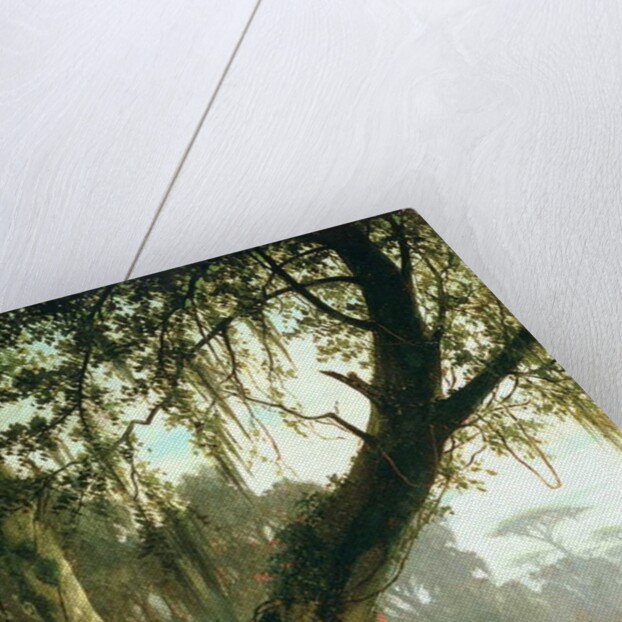 In the Bayou by Joseph Rusling Meeker