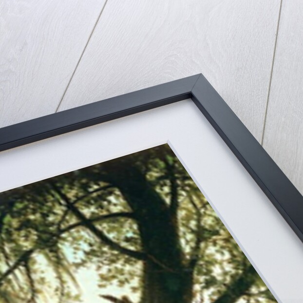 In the Bayou by Joseph Rusling Meeker