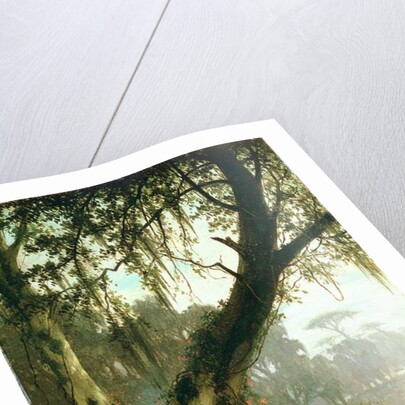 In the Bayou by Joseph Rusling Meeker