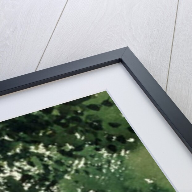 Cow in Pasture, 1878 by Winslow Homer