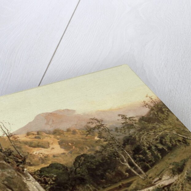 Mount Tamalpais from Lagunitas Creek, 1878 by William Keith