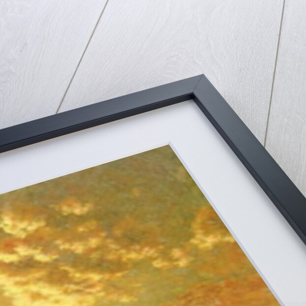 Medfield, Massachusetts by George Snr. Inness